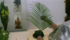  Leaf Manipulation Plaited Palms  for Contemporary Flower Designs - Free to watch