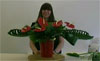 Flower Arranging Video Lesson - Free 